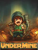 地下矿工修改器十五项