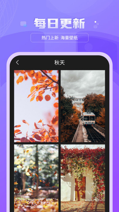 好看图库天天屏保壁纸图1