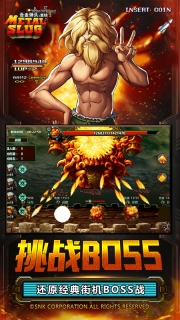 合金弹头集结(3)