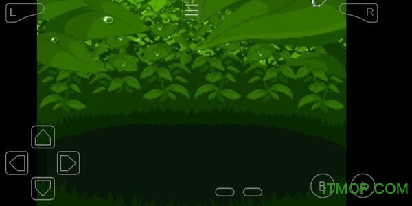 口袋妖怪白金光2金手指手机版(2)