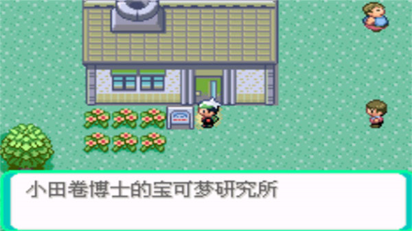 口袋妖怪传说绿宝石1.(1)