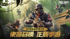 使命召唤正版(1)