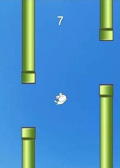 机智猫咪游戏安卓版(1)