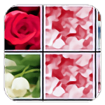 花花连连看单机版