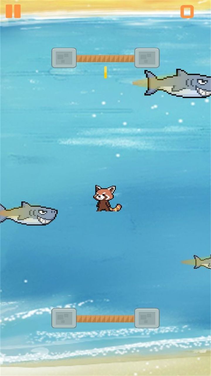 别被鲨鱼吃掉 (3)