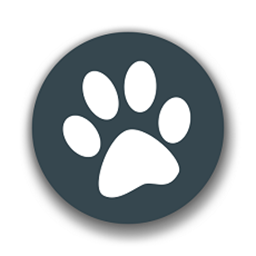 兽音译者喵呜版