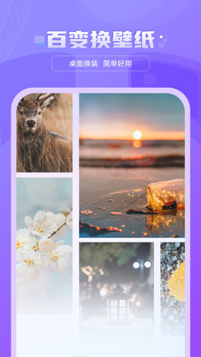 好看图库天天屏保壁纸图2