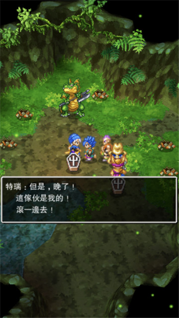 勇者斗恶龙6安卓中文版(5)