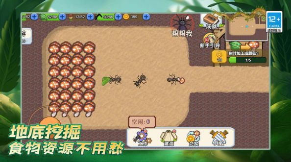 蚂蚁之王复仇版(1)