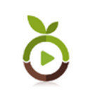 种子帝引擎搜索