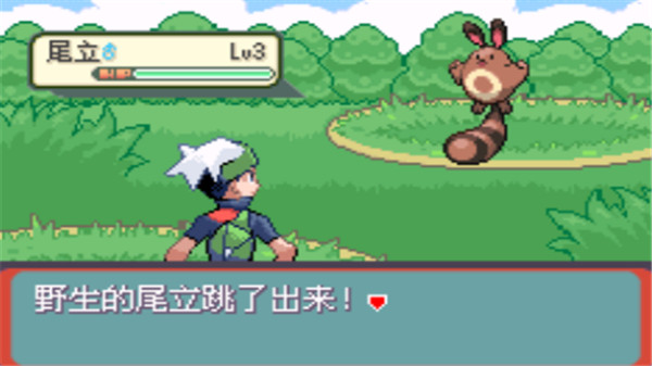 口袋妖怪传说绿宝石1.(5)