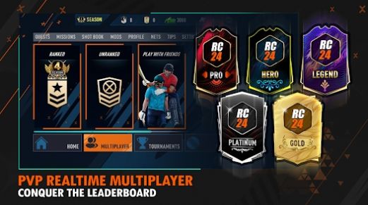 真实板球24游戏中文版图2