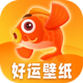 好运壁纸APP
