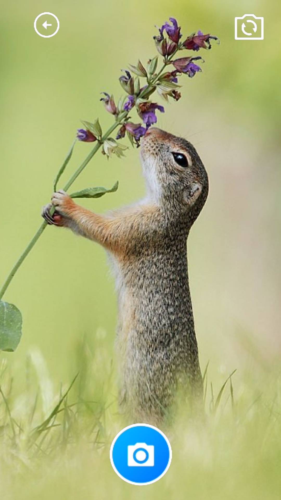 云梦生活帮手图1