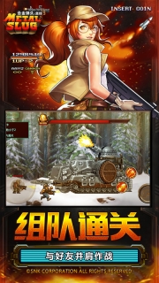 合金弹头集结(4)