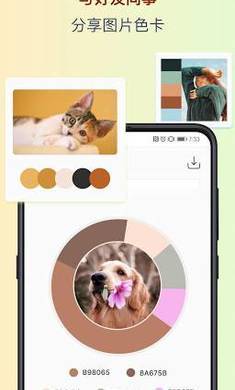 色采 - 配色助手 色卡工坊图3