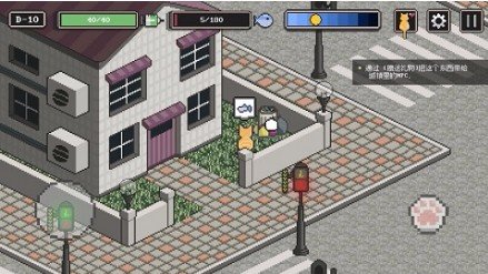 流浪猫的故事图1