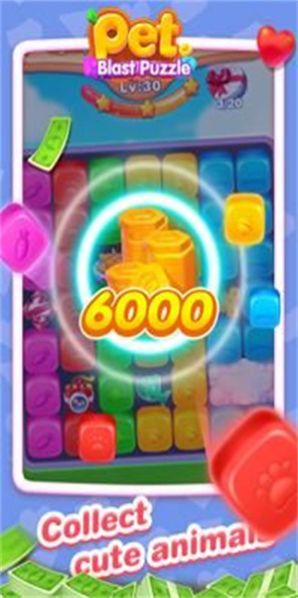 宠物爆炸之谜游戏安卓版图3