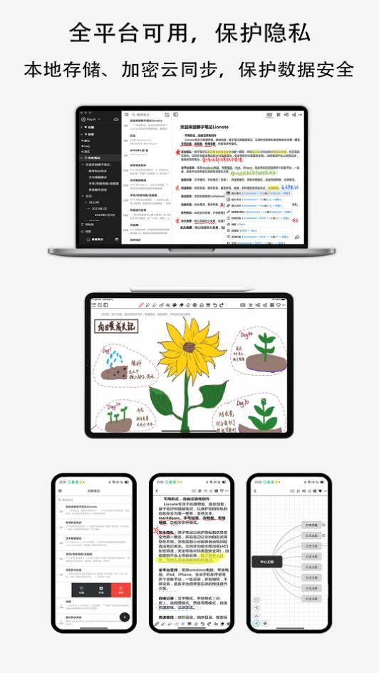 Lionote图1