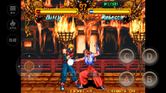 双截龙格斗单机版(4)