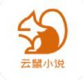 云鼠小说