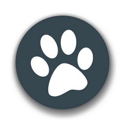 兽音译者官网版