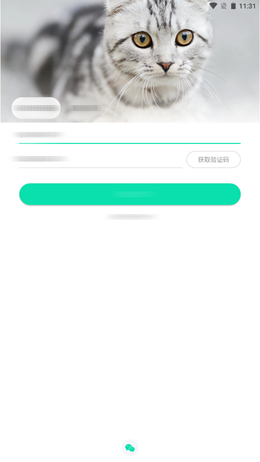 桔柒app手机版图2