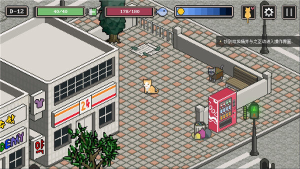 流浪猫的故事图3