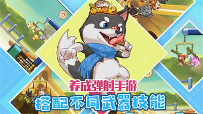 狗狗呼叫喵星(3)