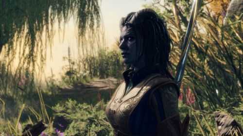 博德之门3中文版图2