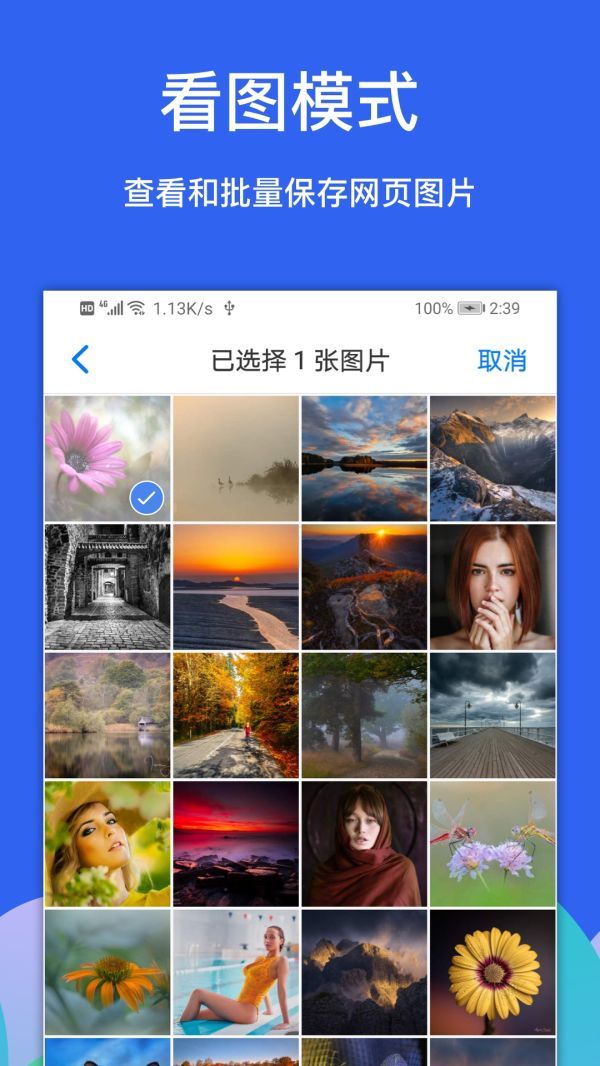 Alook浏览器最新版图2