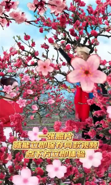 魔力音乐相册图3