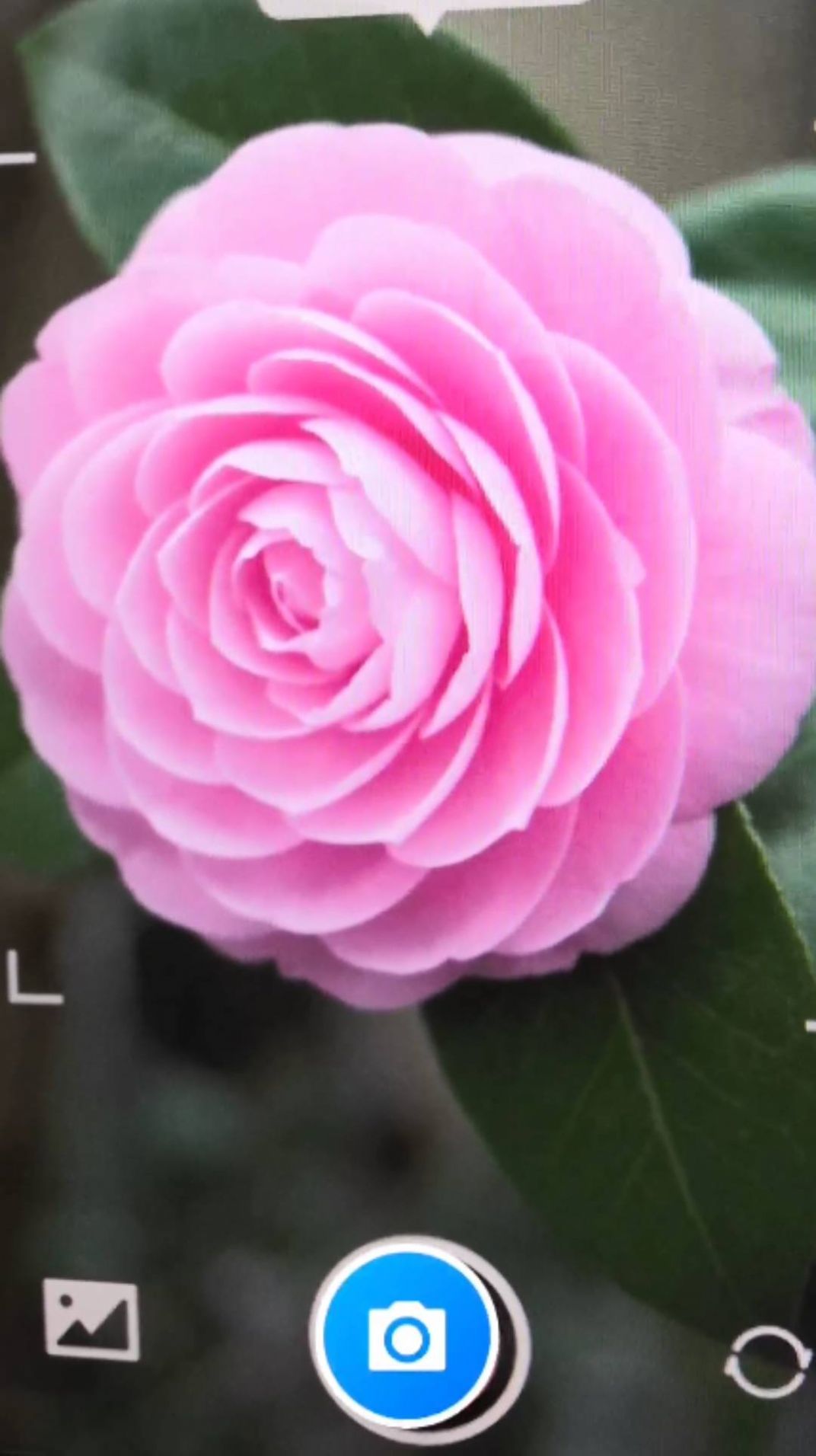 月光工具盒子图1