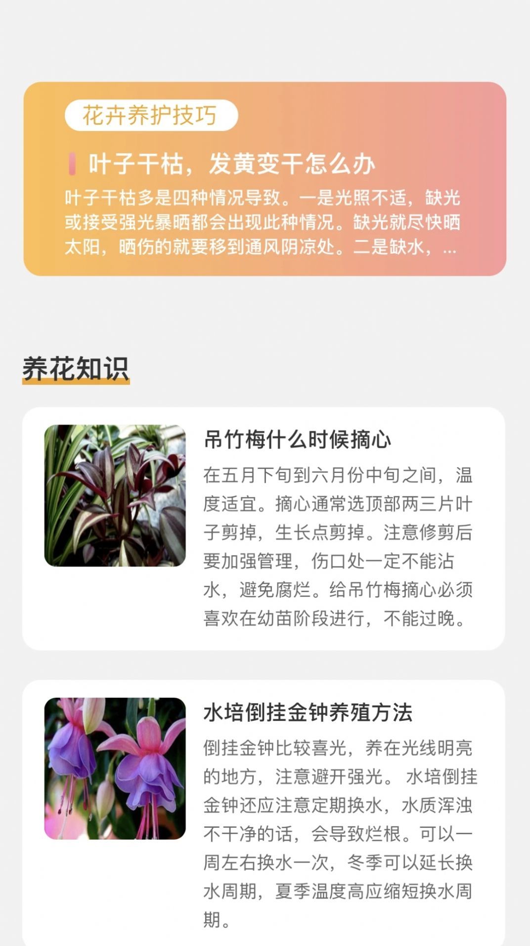 百花悦看图3