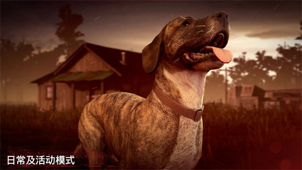 勇闯死人谷2全速前进中文版(4)