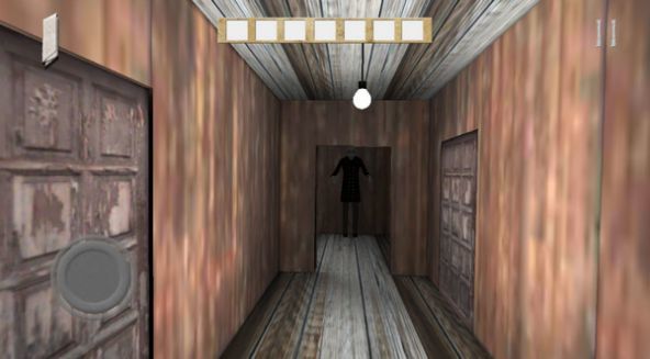 兰德里纳河的森林图2