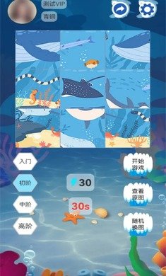 海洋生物图鉴测试版图4