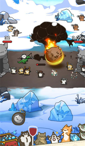 只是只小猫咪图3