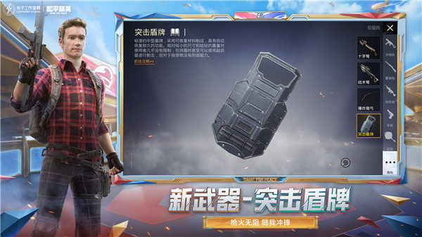 和平精英国际服(5)