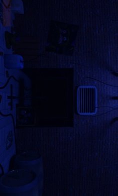 面包熊的午夜后宫图1