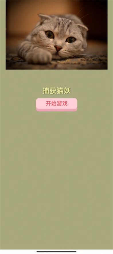 捕获猫妖游戏正式版图2
