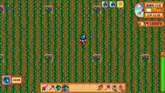 星露谷物语修改版(2)